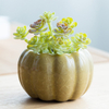 Small Succulent Pumpkin Pot Small Vases for Flowers Colorful Ceramic Vase Indoor Vases Centerpieces Decoration