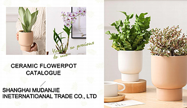 MDJ Succulent Flowerpot Catalog